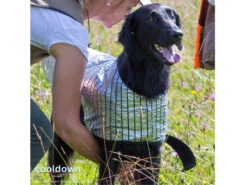 Cooldown Cape Hundeweste -Haustierbedarf für Hunde 497059 Product