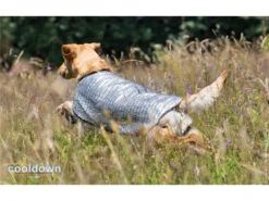 Cooldown Cape Hundeweste -Haustierbedarf für Hunde 497061 Product