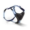 Wolters Hundegeschirr Professional Comfort Skyblue/marineblau