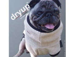 Dryup Cape Hundebademantel Mops Spezial Sand