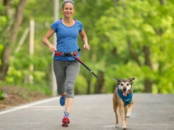 Kurgo Jogging Gurt Excursion -Haustierbedarf für Hunde 503615 Product