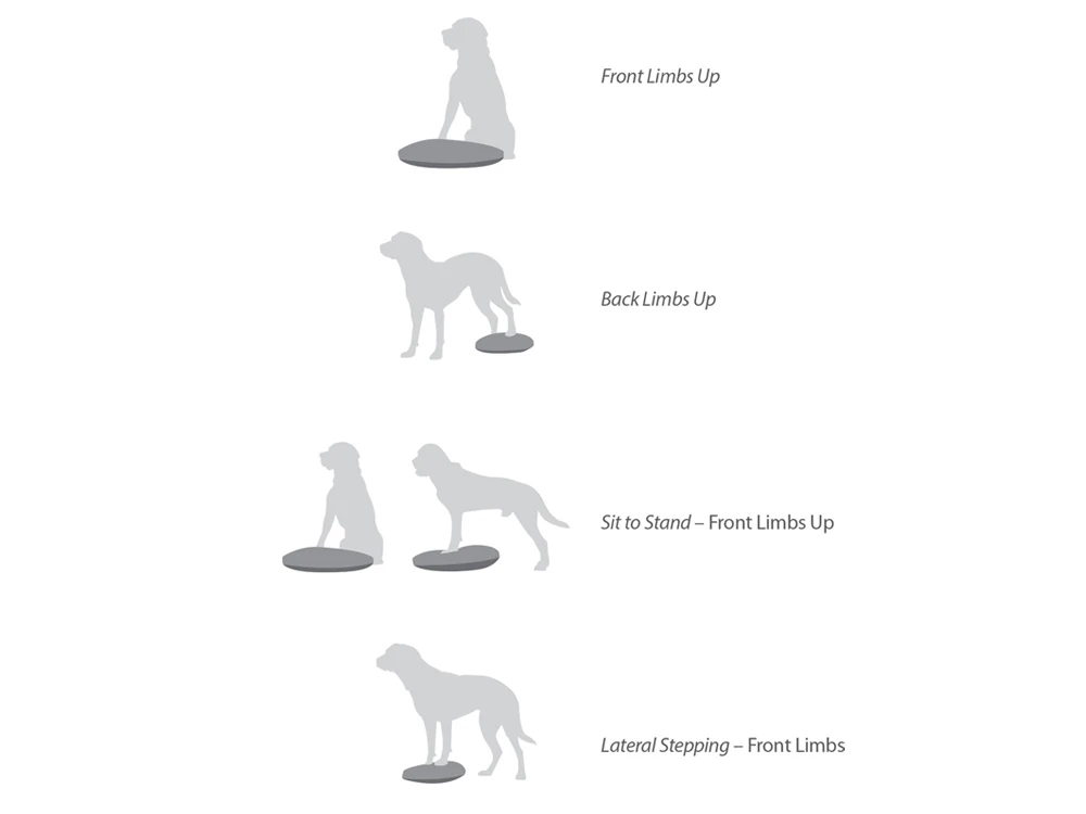 FitPAWS® Balance Disc Blau 5 FitPAWS® Balance Disc Blau – Bild 5