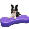 FitPAWS® Giant K9 FITbone™