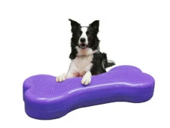 FitPAWS® Giant K9 FITbone™