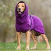 Dryup Cape Hundebademantel Bilberry