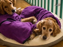 Dryup Cape Hundebademantel Bilberry -Haustierbedarf für Hunde 513365 Product