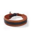 Hundehalsband Ridgeback Komfort Cognac