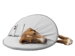 Trixie Schutzkragen Für Hunde -Haustierbedarf für Hunde 544794 Product