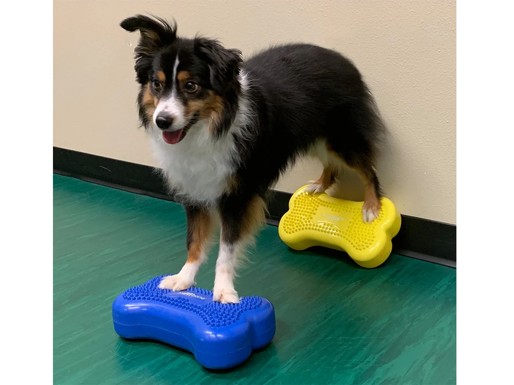 FitPAWS® K9 FITbone™ MINI 2-er Set 3 FitPAWS® K9 FITbone™ MINI 2-er Set – Bild 3