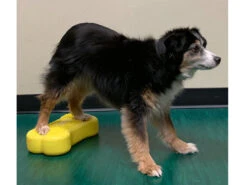 FitPAWS® K9 FITbone™ MINI 2-er Set 9 FitPAWS® K9 FITbone™ MINI 2-er Set -Haustierbedarf für Hunde 546698 Product