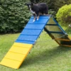 Hundesport Agility A-Wand