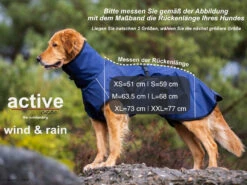 Active Cape Wind & Rain MINI Orange 7 Active Cape Wind & Rain MINI Orange -Haustierbedarf für Hunde 556638 Product