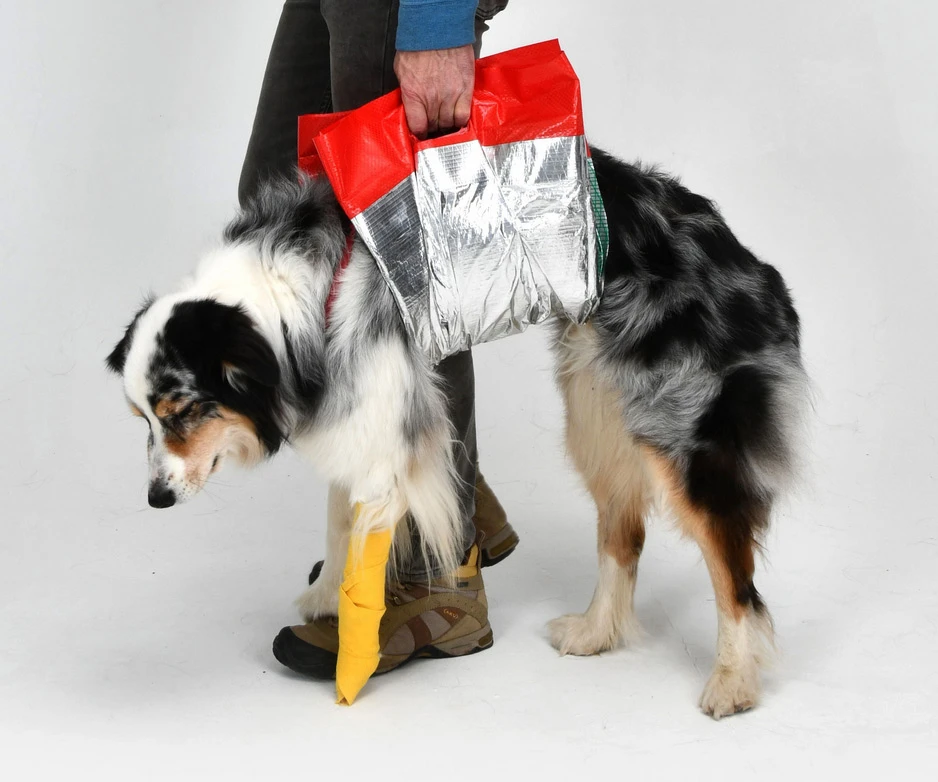 SOS Hunde-Rettungsdecke 3 SOS Hunde-Rettungsdecke – Bild 3