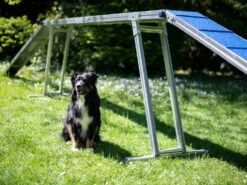 Hunde Profi Agility ALU Laufsteg FCI Konform 9 Hunde Profi Agility ALU Laufsteg FCI Konform -Haustierbedarf für Hunde 598269 Product