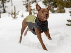 Ruffwear® Climate Changer™ Pullover Canyonlands Orange -Haustierbedarf für Hunde 599724 Product