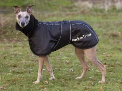 Back On Track Windhundmantel -Haustierbedarf für Hunde 610006 Product