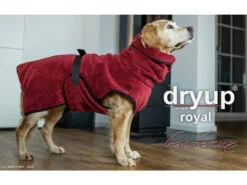 Dryup Cape Royal Hundebademantel Micro Cotton Bordeaux