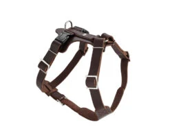 Hunter Hundegeschirr Aalborg Rindleder Dunkelbraun
