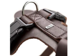 Haustierbedarf für Hunde -Haustierbedarf für Hunde 619227 Product