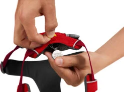 Ruffwear Front Range™ 2.0 Hundegeschirr Red Sumac -Haustierbedarf für Hunde 621075 Product