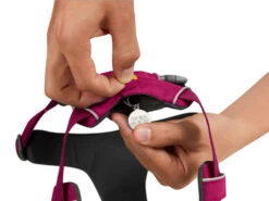 Ruffwear Front Range™ 2.0 Hundegeschirr Hibiscus Pink 9 Ruffwear Front Range™ 2.0 Hundegeschirr Hibiscus Pink -Haustierbedarf für Hunde 621159 Product