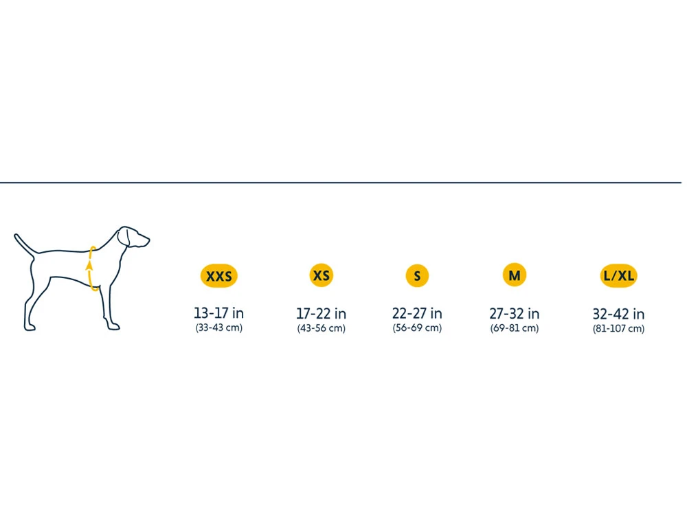 Ruffwear Front Range™ 2.0 Hundegeschirr Hibiscus Pink 6 Ruffwear Front Range™ 2.0 Hundegeschirr Hibiscus Pink – Bild 6