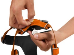 Ruffwear Front Range™ 2.0 Hundegeschirr Campfire Orange 9 Ruffwear Front Range™ 2.0 Hundegeschirr Campfire Orange -Haustierbedarf für Hunde 621243 Product
