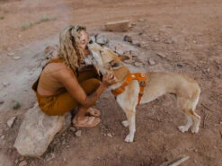 Ruffwear Front Range™ 2.0 Hundegeschirr Campfire Orange 10 Ruffwear Front Range™ 2.0 Hundegeschirr Campfire Orange -Haustierbedarf für Hunde 621245 Product