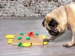 Denksport Trainer Cube 5 Denksport Trainer Cube -Haustierbedarf für Hunde 646054 Product