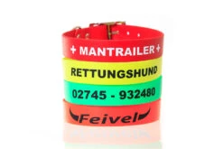 Relaxoo Biothane Hundehalsband Skyan 16mm Breit 8 Relaxoo Biothane Hundehalsband Skyan 16mm Breit -Haustierbedarf für Hunde 646565 Product