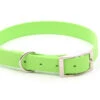 Relaxoo Biothane Hundehalsband Apple Green 19mm Breit