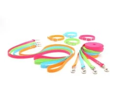 Ausgewählte Produkte -Haustierbedarf für Hunde 650924 Product