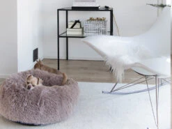 District 70 FUZZ Hundebett Donut Light Grey -Haustierbedarf für Hunde 660121 Product