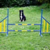 Hunde Profi Agility Hürde FCI Konform