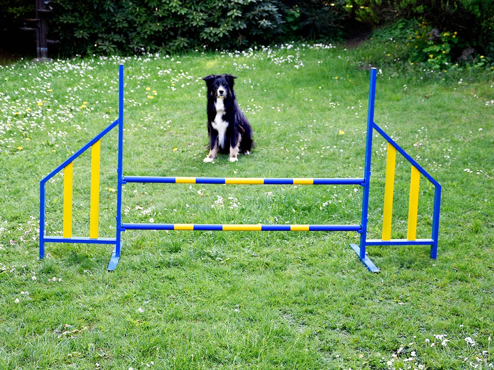 Hunde Profi Agility Hürde FCI Konform 1 Hunde Profi Agility Hürde FCI Konform
