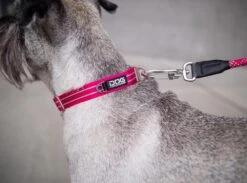 Dog Copenhagen Urban Style V2 Halsband Mocca 6 Dog Copenhagen Urban Style V2 Halsband Mocca -Haustierbedarf für Hunde 678098 Product