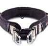 Wolters Active Pro Halsband Champagner/schwarz