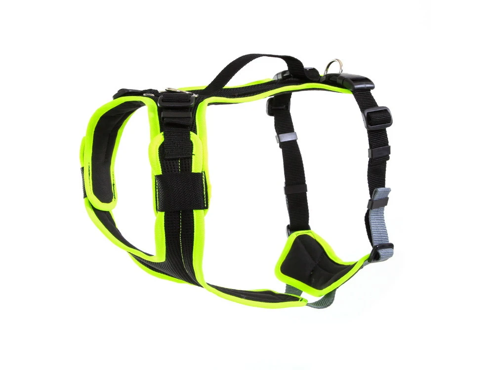 Grossenbacher Hundegeschirr Vary Neongelb 1 Grossenbacher Hundegeschirr Vary Neongelb