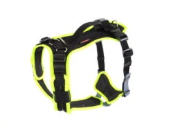 Grossenbacher Hundegeschirr Vary Neongelb 6 Grossenbacher Hundegeschirr Vary Neongelb -Haustierbedarf für Hunde 696775 Product