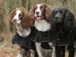 Back On Track Hundefleecemantel Supreme 5 Back On Track Hundefleecemantel Supreme -Haustierbedarf für Hunde 740663 Product