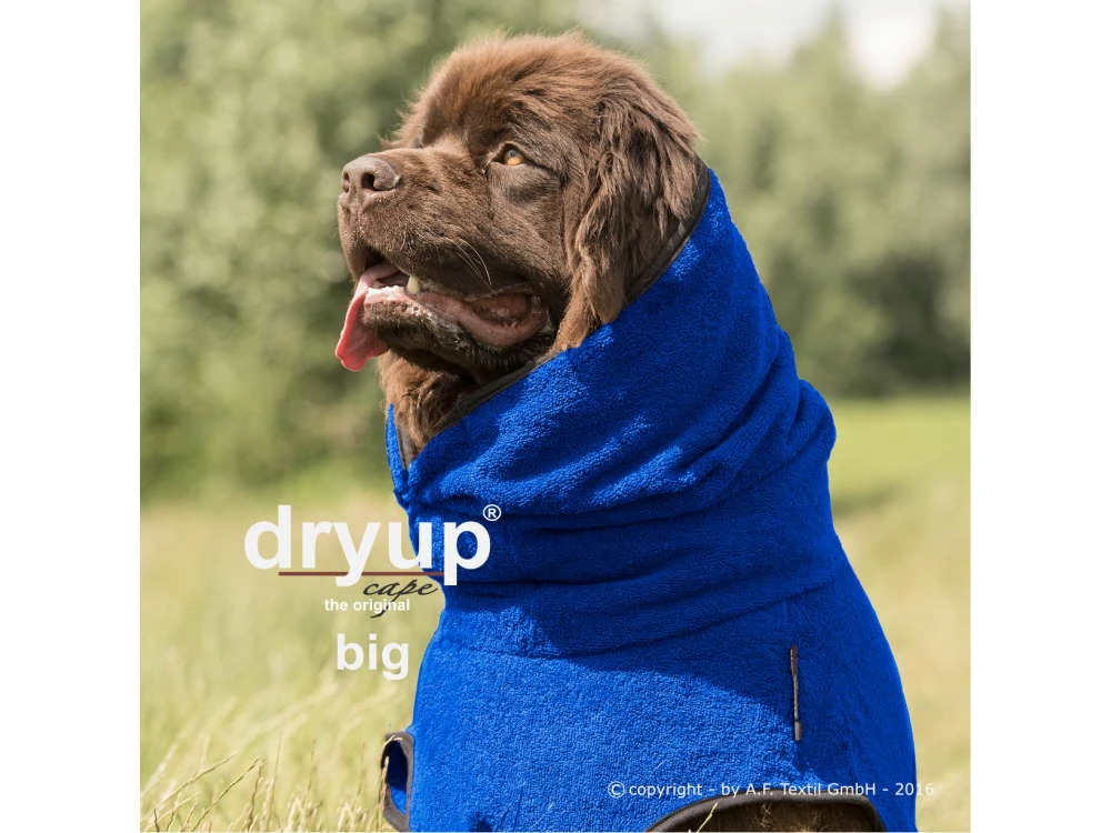 Dryup Cape Hundebademantel BIG Blueberry 1 Dryup Cape Hundebademantel BIG Blueberry