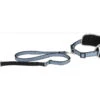 Jogging-Hüftgurt Mit Hundeleine Blau