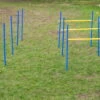 Dog Agility Trainings Set 2