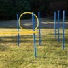 Dog Agility Trainings Set 1