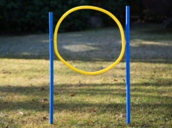 Dog Agility Trainings Set 1 -Haustierbedarf für Hunde 827482 Product