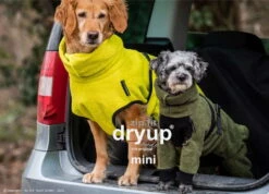 Dryup Body Zip.fit Mini Hundebademantel Moos -Haustierbedarf für Hunde 828189 Product