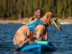 Ruffwear Float Coat™ Schwimmweste Für Hunde Blue Dusk -Haustierbedarf für Hunde 828365 Product