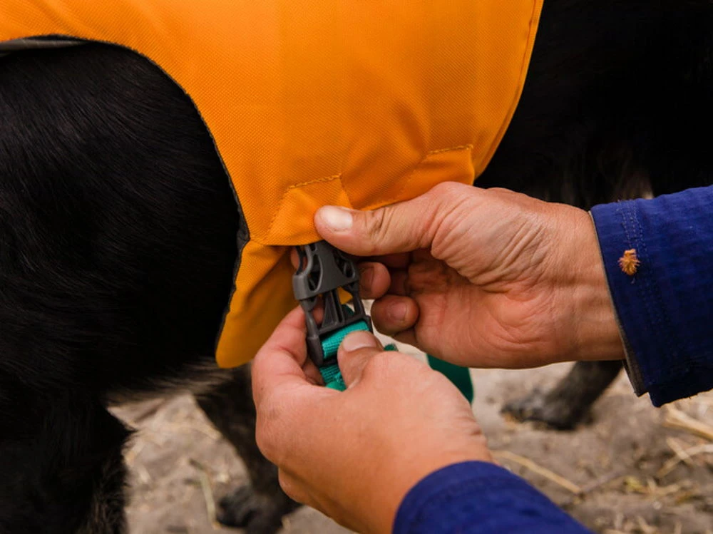 Ruffwear Float Coat™ Schwimmweste Für Hunde Wave Orange 6 Ruffwear Float Coat™ Schwimmweste Für Hunde Wave Orange – Bild 6