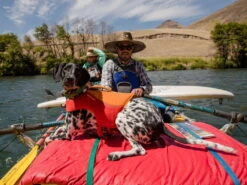 Ruffwear Float Coat™ Schwimmweste Für Hunde Red Sumac 10 Ruffwear Float Coat™ Schwimmweste Für Hunde Red Sumac -Haustierbedarf für Hunde 828953 Product