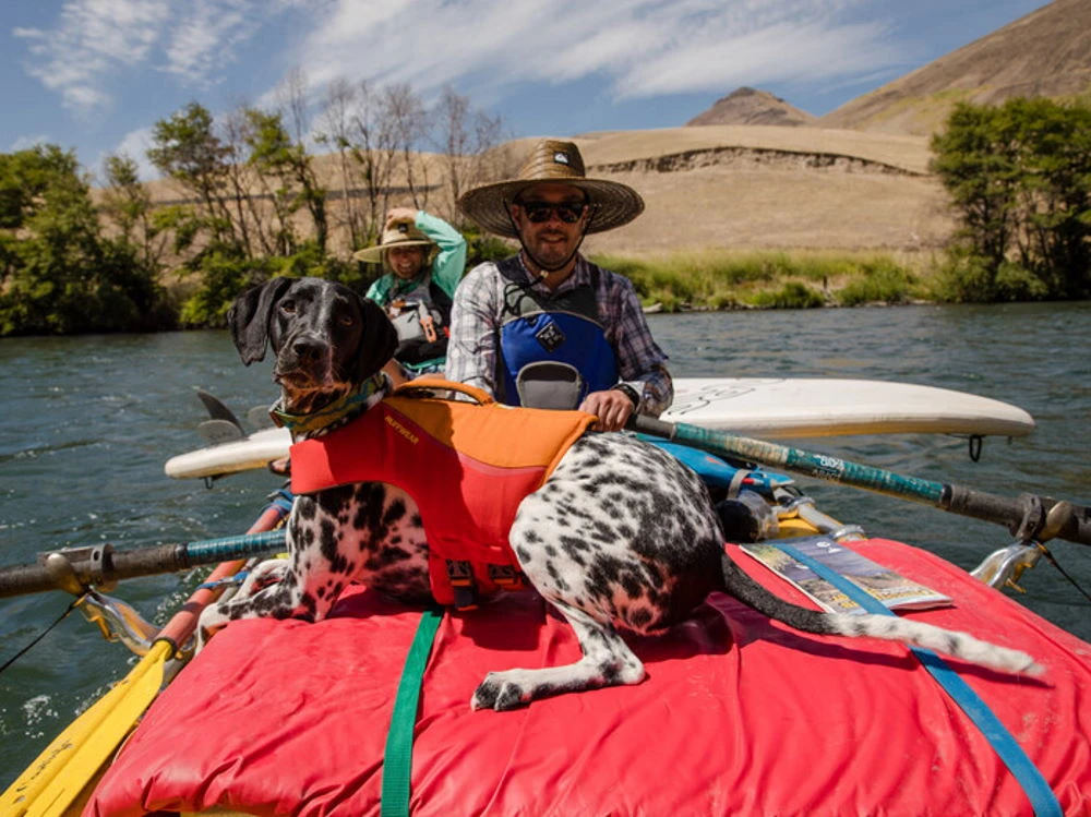 Ruffwear Float Coat™ Schwimmweste Für Hunde Red Sumac 5 Ruffwear Float Coat™ Schwimmweste Für Hunde Red Sumac – Bild 5